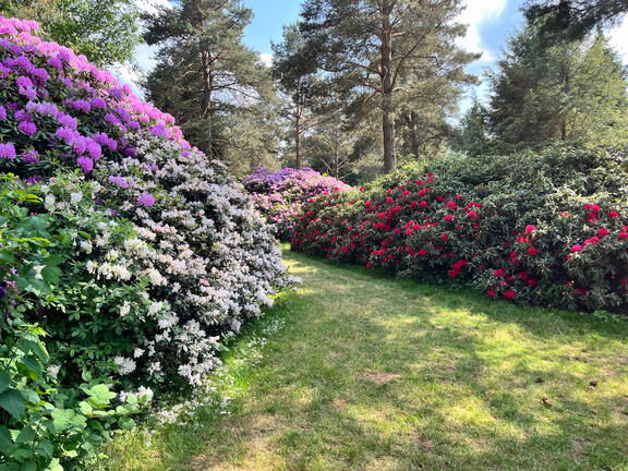 23-06-03 16-34-52 5782